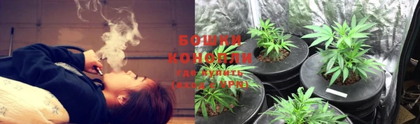 хмурый Елизово