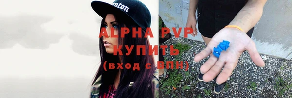 хмурый Елизово