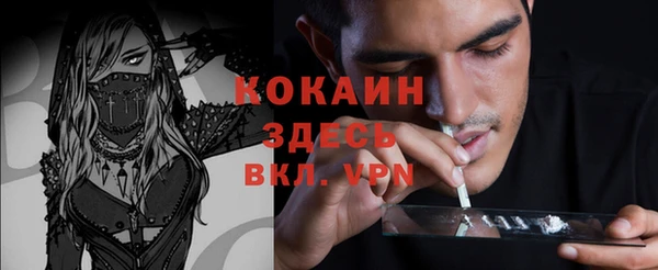 хмурый Елизово