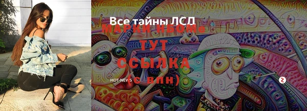 хмурый Елизово