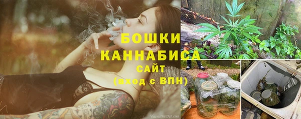 трава Елабуга