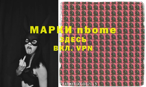 хмурый Елизово