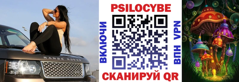 Купить где  Светогорск  Псилоцибиновые грибы Psilocybe 